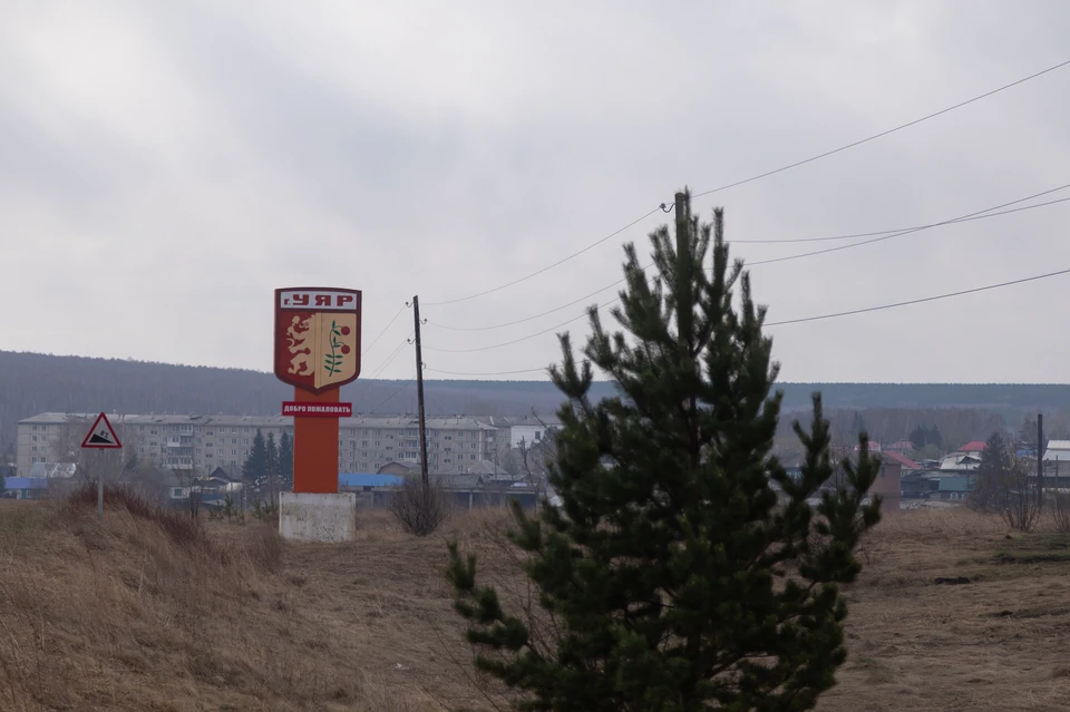 В городе Уяр Красноярского края ввели карантин по бешенству