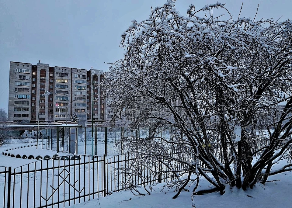 В Коми резко похолодает до -26 градусов. Фото: Екатерина ЧЕРНУХА.