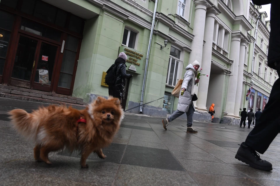 Метеорологическая весна наступает в Москве