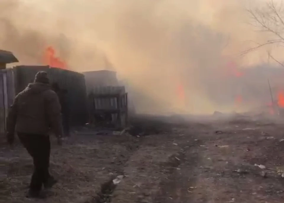 Кадры пожара в Тавричанке. Фото: принтскрин видео, dpscontrol_prim