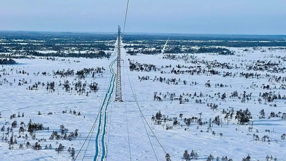 Фото: Денис Пыргарь
