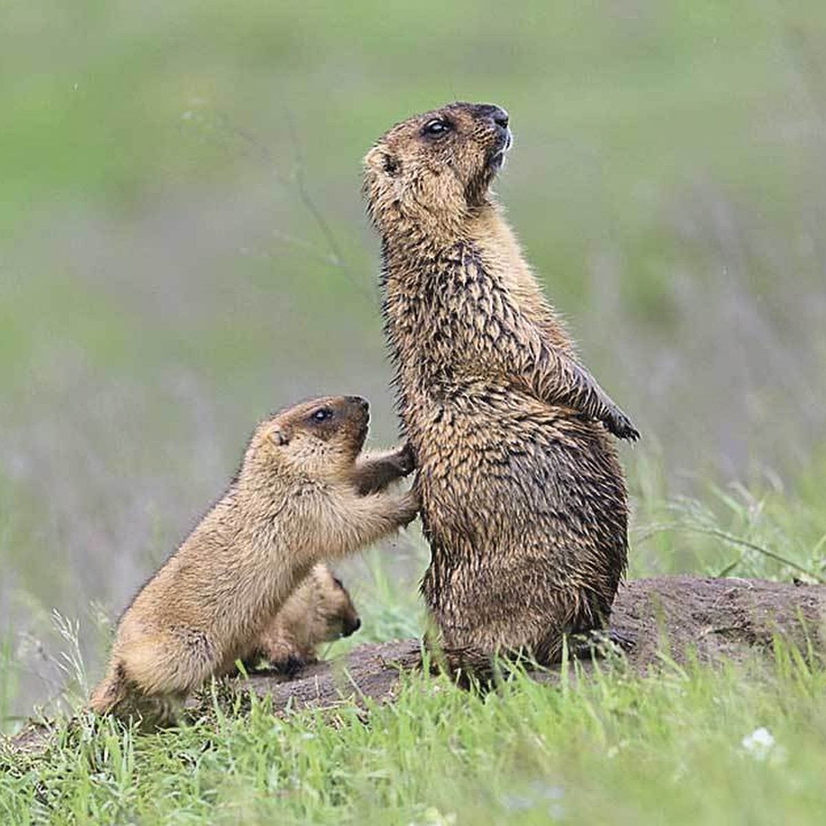 Родной край света: Потрясающие фото из самых удивительных уголков России -  KP.RU