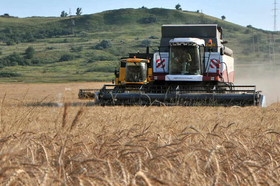 Российское правительство установило квоту на беспошлинный экспорт зерна из ДНР и других воссоединенных регионов на 2024 год