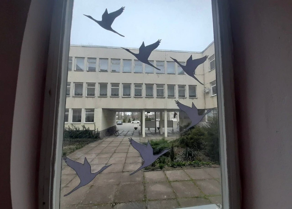 Запорожские школьники присоединились к памятной акции «Окна памяти» и разместили на окна белых журавлей. ФОТО: "Мы вместе"