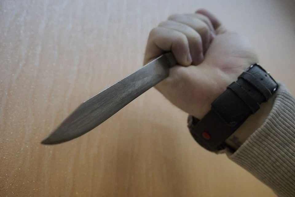 В Тульской области осудят зарезавшегося своего приятеля жителя Ефремова