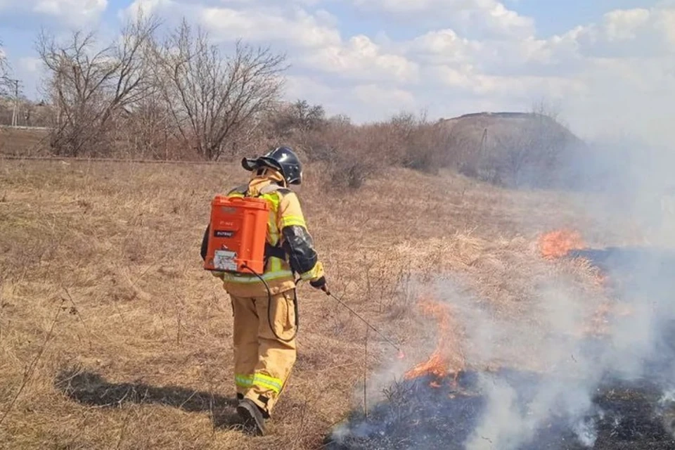 За минувшие сутки огнеборцы потушили 60 природных пожаров в ДНР. Фото: МЧС России по ДНР