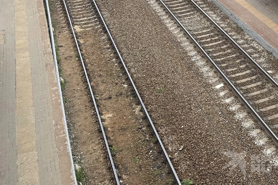 У железной дороги в Рязани взяли 37-летнего закладчика с серьезным грузом.