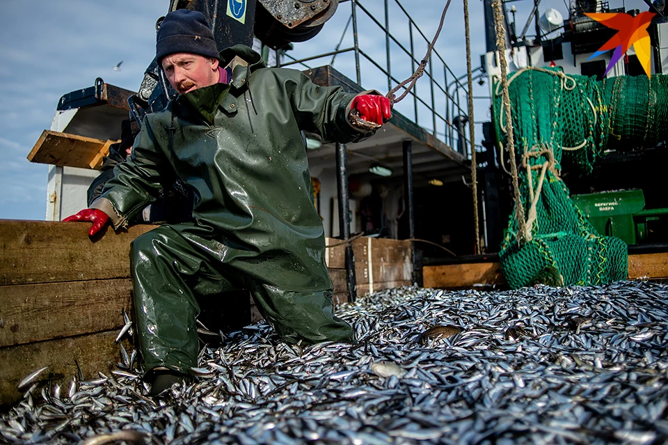 С этого года российские рыбаки больше не могут вести промысел в серой зоне между Фарерскими островами и Великобританией.