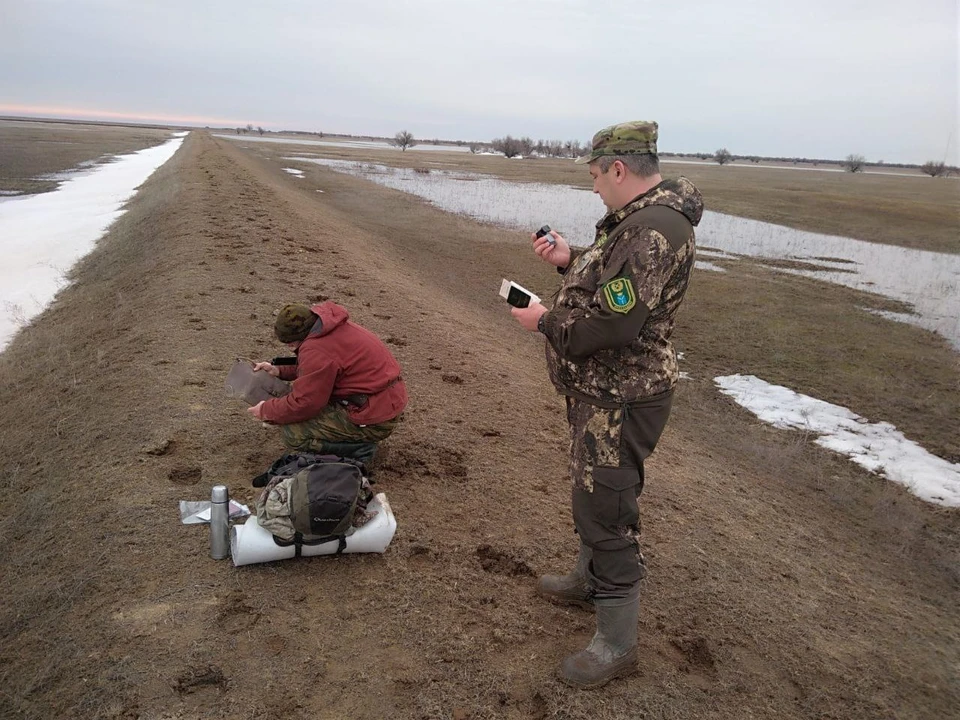 Фото: За выходные в охотничьих угодьях Саратовской области поймали 23 нарушителя