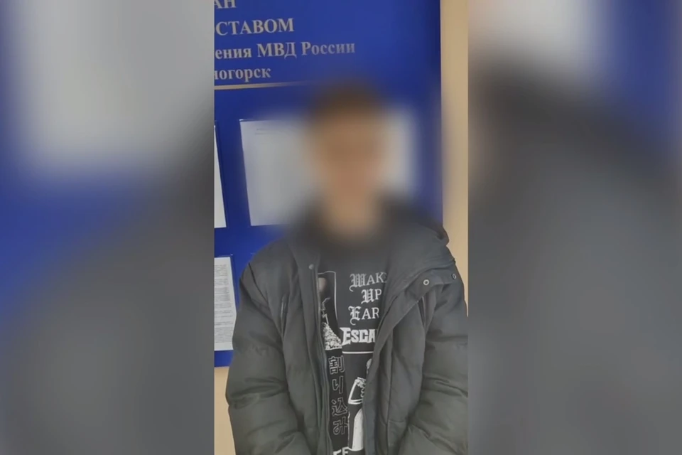 Скриншот: видео МВД по Красноярскому краю