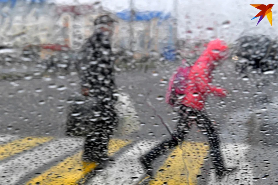 Сильные ветер и дождь со снегом прогнозируются в Беларуси 3 апреля. Снимок носит иллюстративный характер.