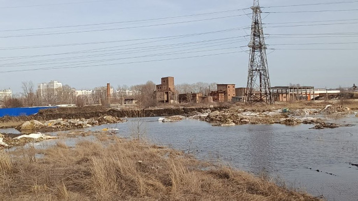 В Ульяновске из-за подъема Свияги и Сельди может затопить Дачный и  Вырыпаевку - KP.RU