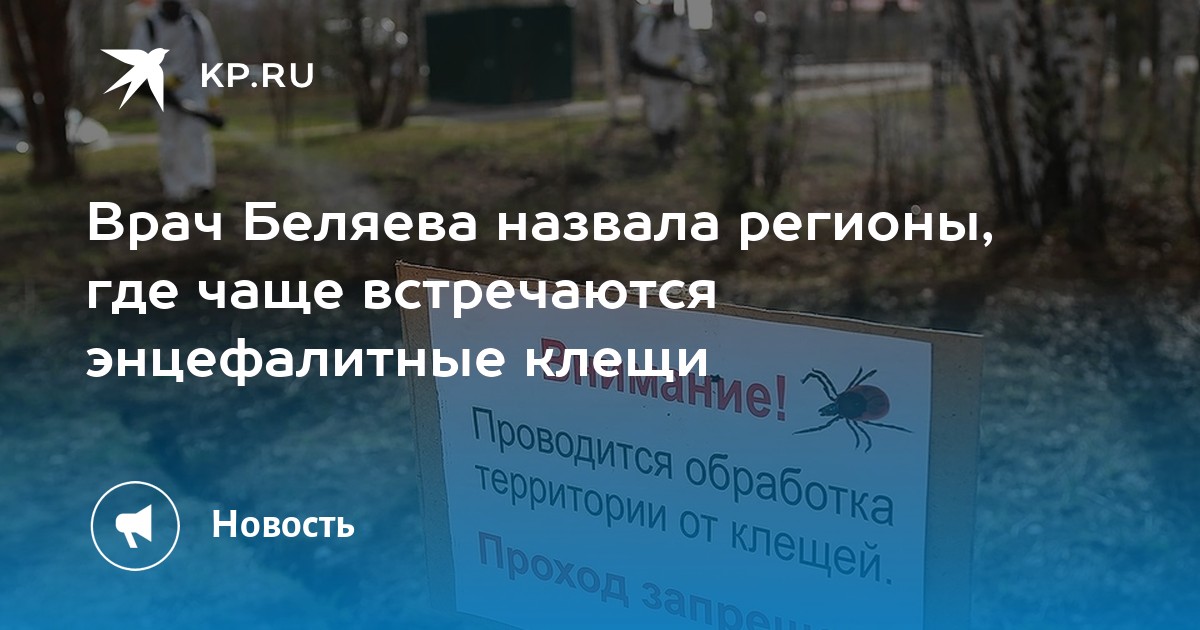 Врач Беляева назвала регионы, где чаще встречаются энцефалитные клещи ...
