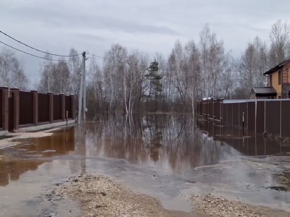 Коттеджный поселок Ласточка под Рязанью настигло половодье - KP.RU