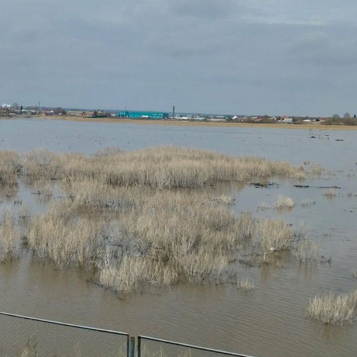 В селе Самарской области из-за разлива реки вода стала непригодной для  питья - KP.RU