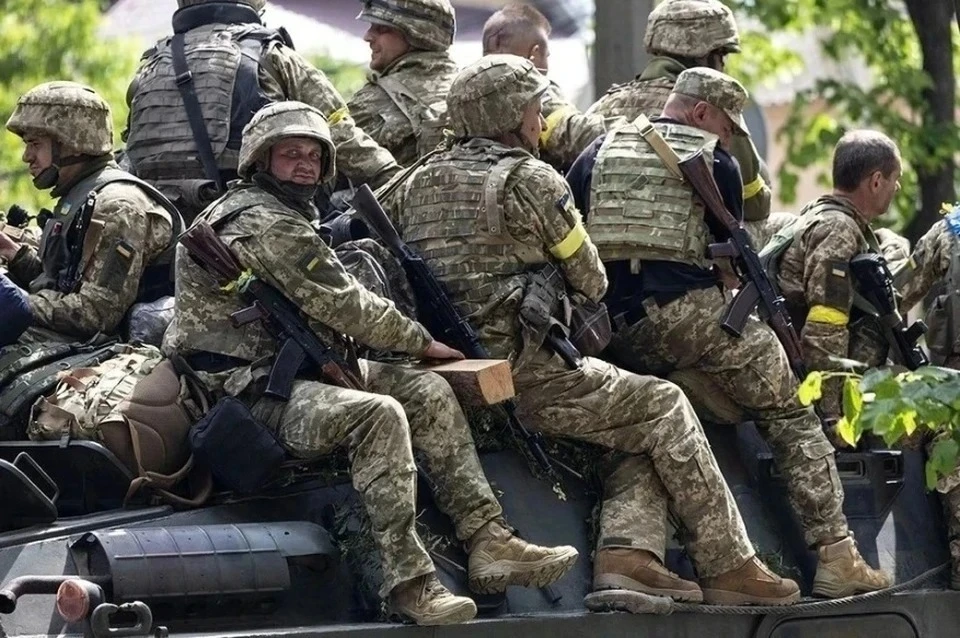 Рогов сообщил о подготовке Польшей военного контингента для ввода на Украину