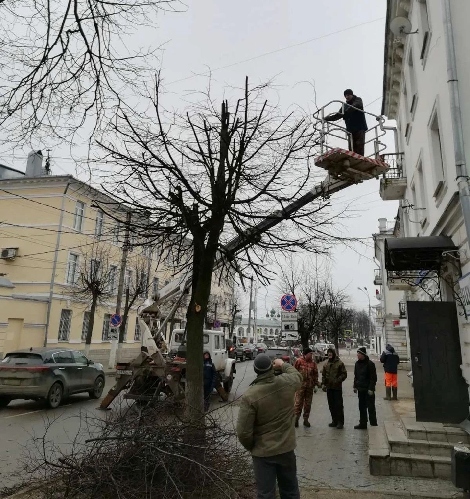 Фото: пресс-служба администрации города Костромы