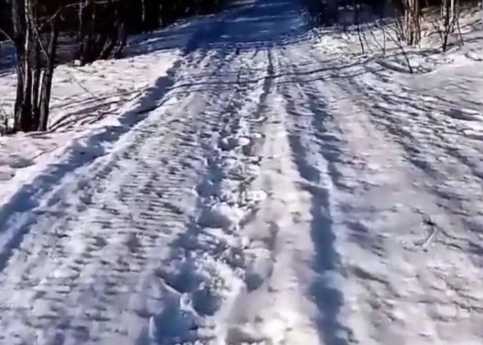 Следы обнаружили сотрудники нацпарка. Фото: скрин видео Таганай news/t.me