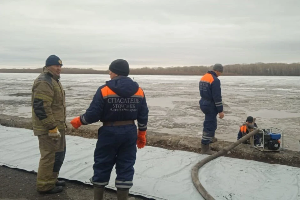 В Камне-на-Оби укрепляют дамбу