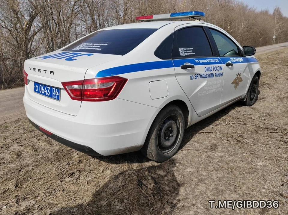 Фото пресс-службы ГУ МВД России по Воронежской области.