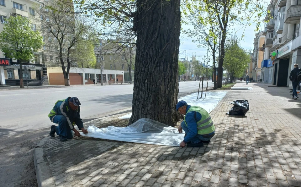 Фото управы Ленинского района