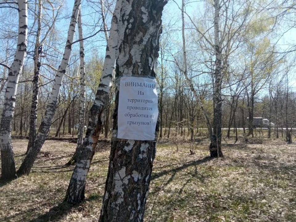 Фото: Минприроды