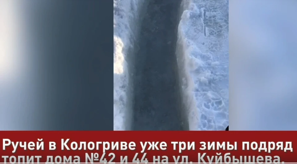 Фото: Народный фронт Костромская область