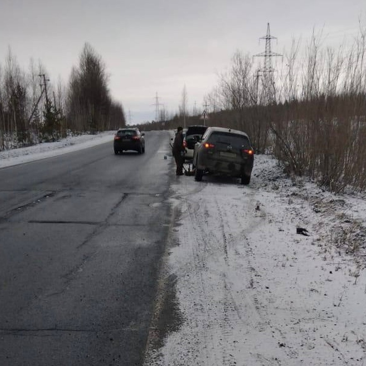 Жители томского Севера возмущены дорогой из Стрежевого до Нижневартовска -  KP.RU