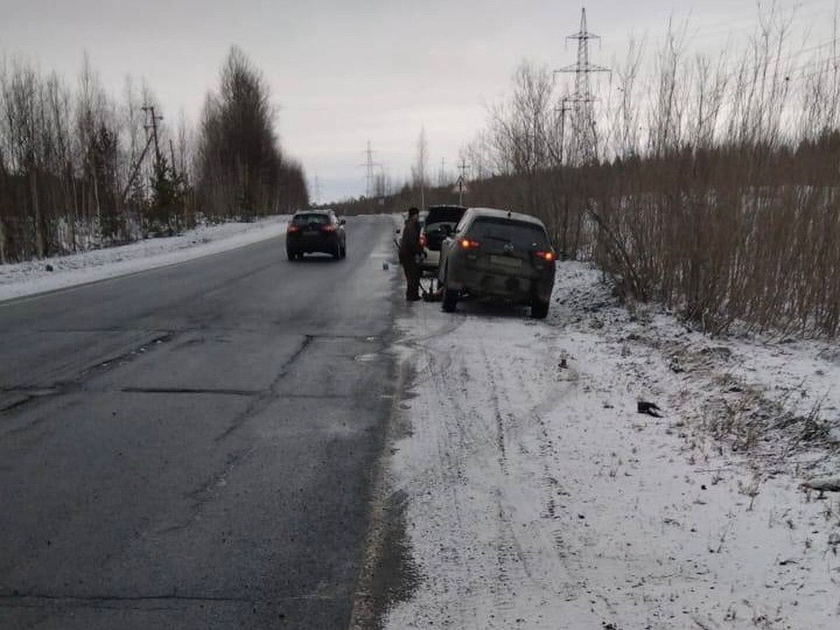 Жители томского Севера возмущены дорогой из Стрежевого до Нижневартовска -  KP.RU