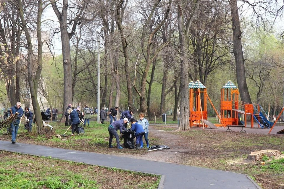 Еще 15 млн руб. потратят на благоустройство Новопавловской рощи в Рязани.