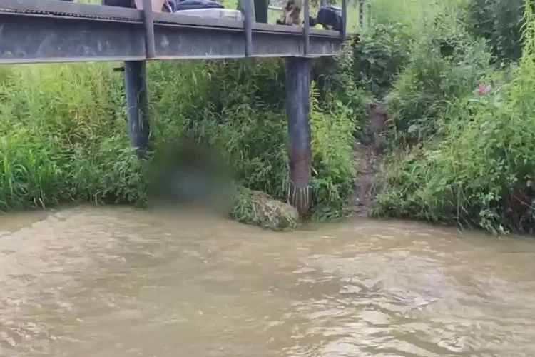 Выбросили голову в реку: появились новые детали в деле об убийстве и расчленении тела мужчины в Хабаровске