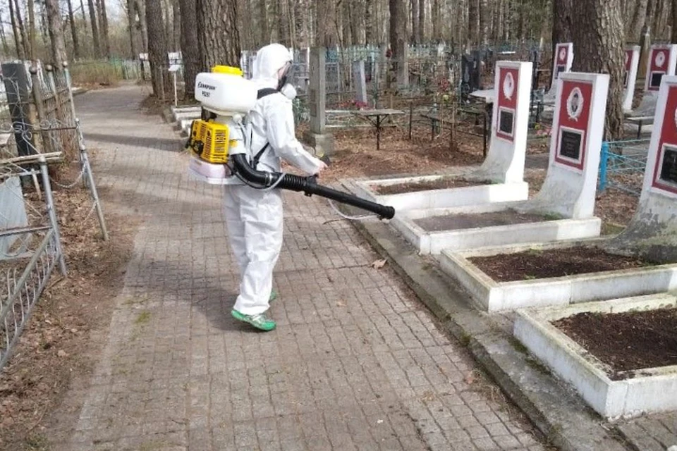 Работы начались на Старомакарьевском кладбище. Фото: киров.рф