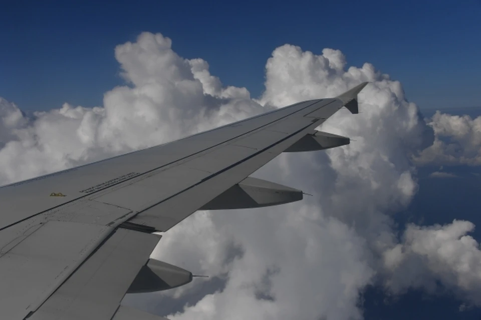 Из-за засорения топливного фильтра самолет Уфа — Омск отстранили от ...