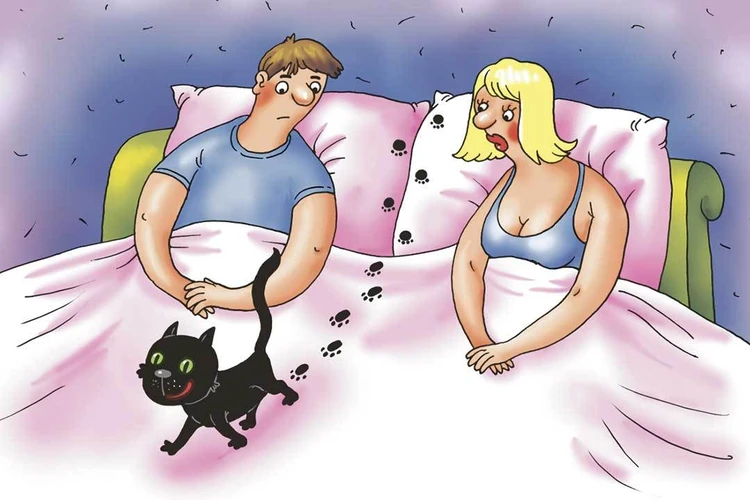 Если кот сулит развод: Как семьи рушатся из-за домашних питомцев