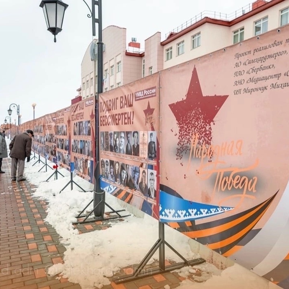 В Салехарде фото ветеранов бессмертного полка войдут в стену памяти  «Народная Победа» - KP.RU