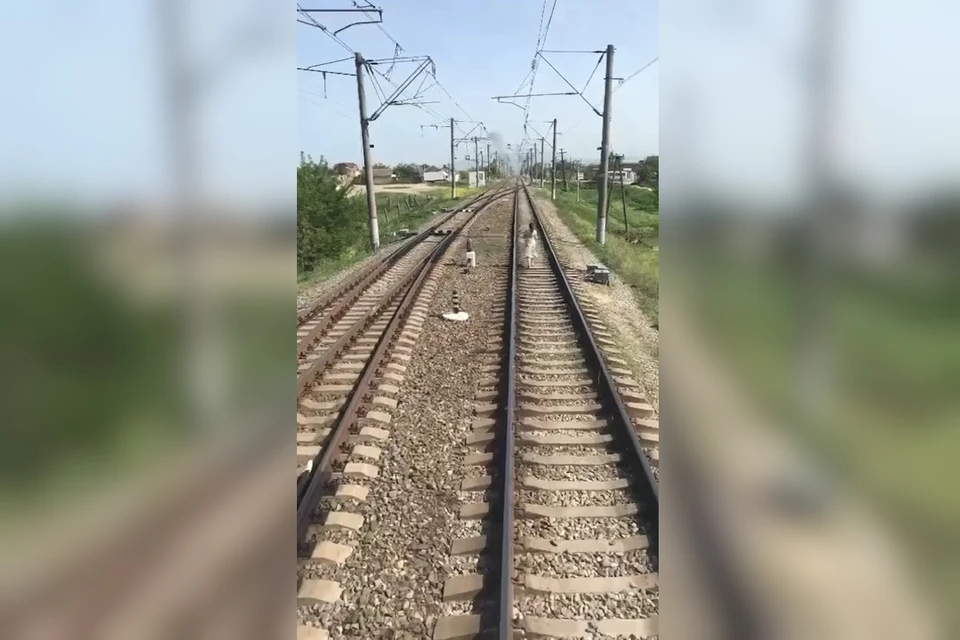 Прогулка по рельсам оказалась роковой. Фото: стоп-кадр видео