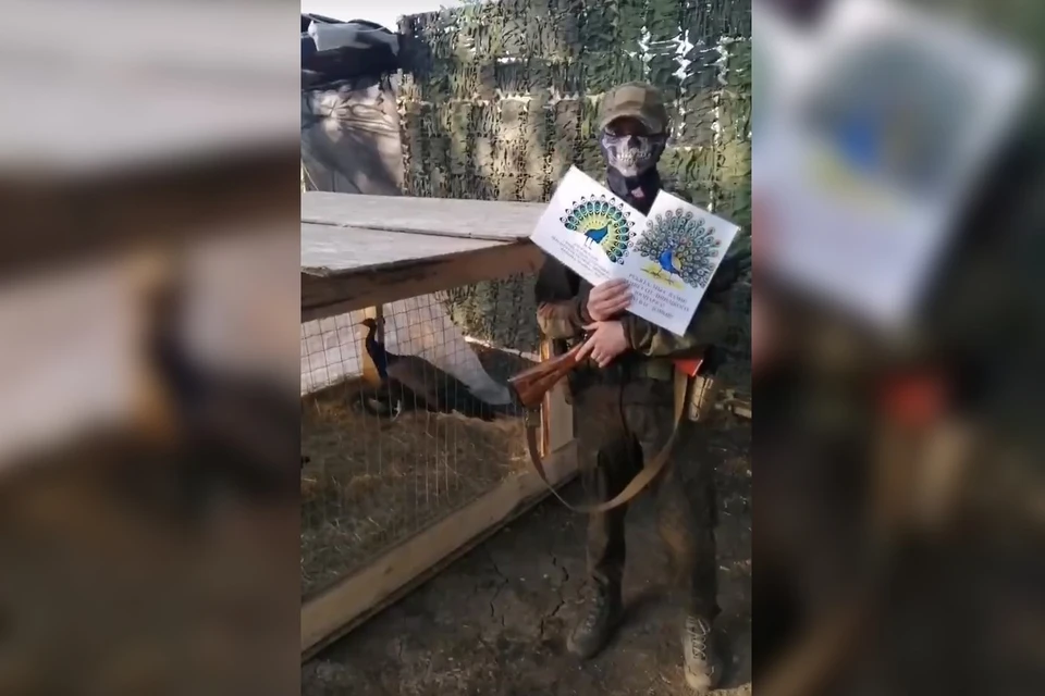 Павлинов из Липецкого зоопарка доставили бойцам СВО