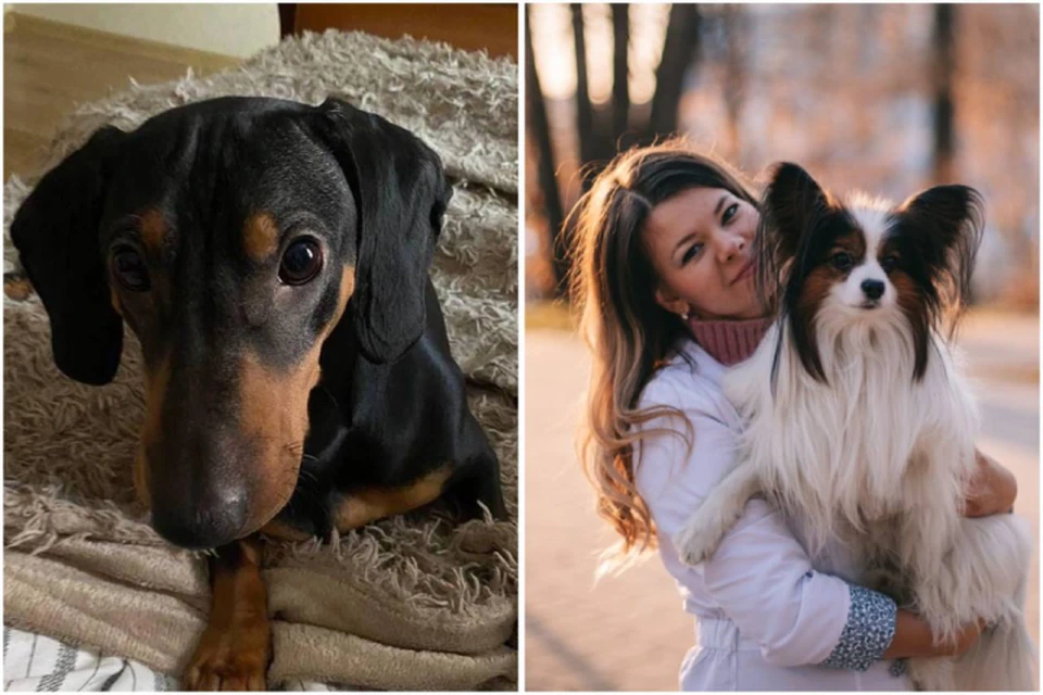 Ветеринар Татьяна Ерстенюк отказалась усыплять здоровую собаку и предложила найти Гансу новую семью. Фото: из личного архива Татьяны