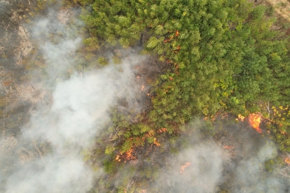 На юго-востоке области возрастает вероятность возникновения лесных пожаров.