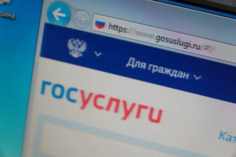 Минфин и ЦБ запустят платформу коммерческих согласий на «Госуслугах»