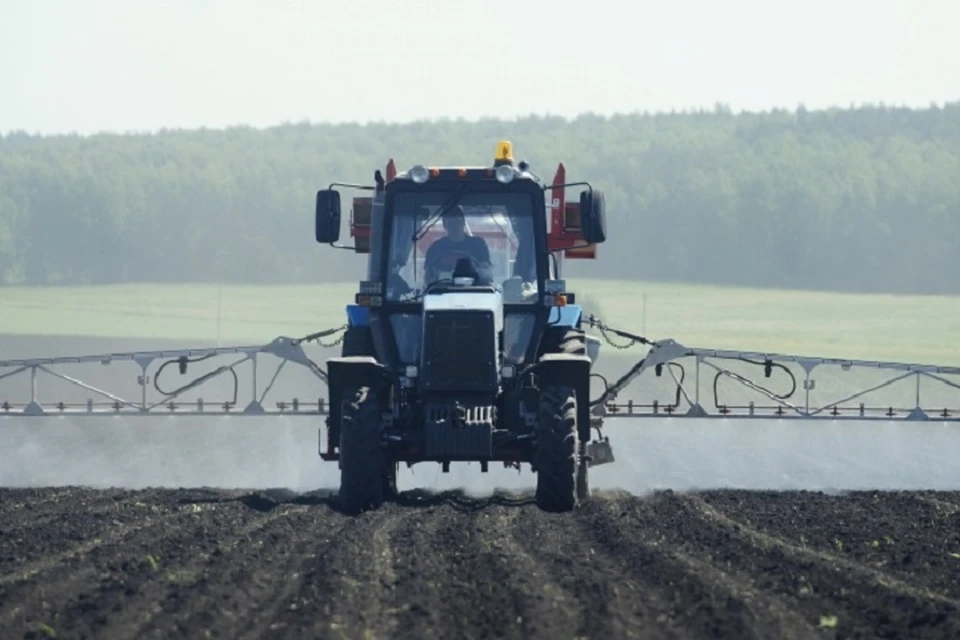 Во второй половине 2024 года аграриям ЛНР планируют выплатить компенсацию за возведение укреплений на полях