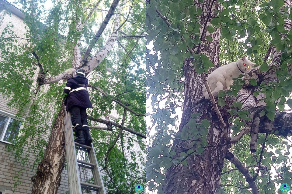 Фото: Управление гражданской защиты города.