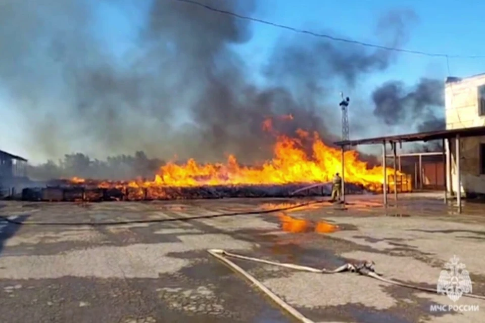 Площадь пожара составила 1 800 квадратных метров. Фото: пресс-служба МЧС России, скриншот видео