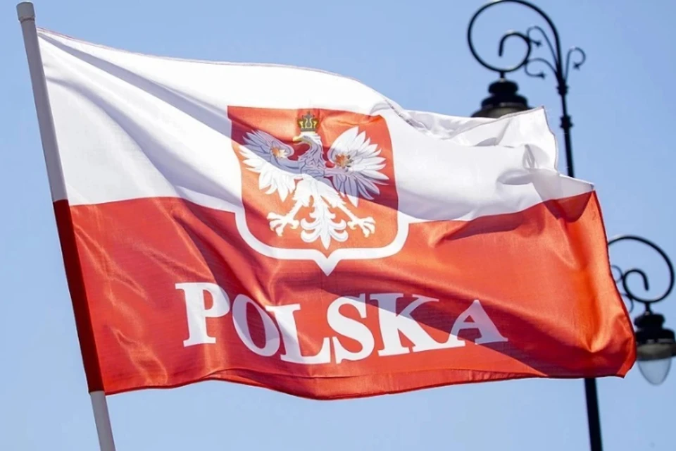 Посол Польши в России Краевский не будет присутствовать на инаугурации Путина