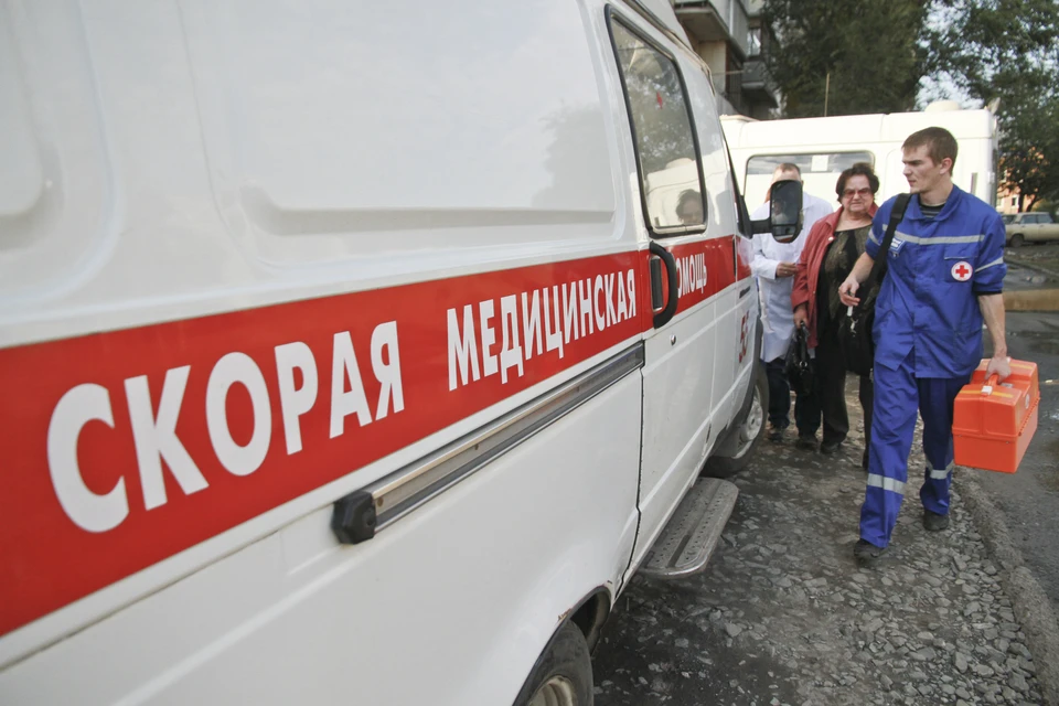 Ульяновец, работавший в лесу, получил травмы при обрушении дерева