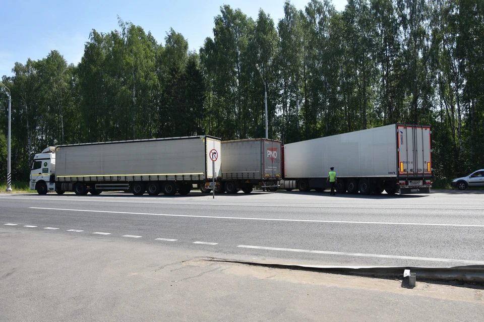 Источник:https://grad.kostroma.gov.ru/