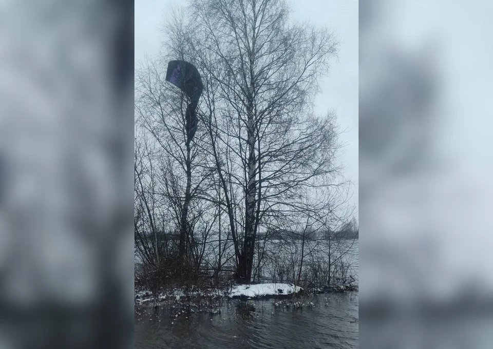 Сыктывкарские спасатели помогли экстремалу, застрявшему на дереве. Фото: Спас-Коми Комитета ГО и ЧС.