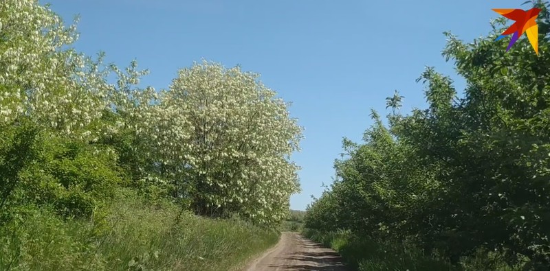 Самое время отправиться на природу. Фото: "КП"