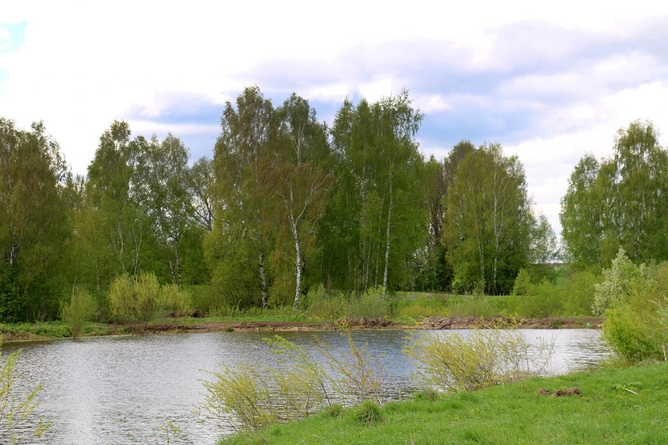 В Тульской области создадут первую экотропу по берегу реки Оки