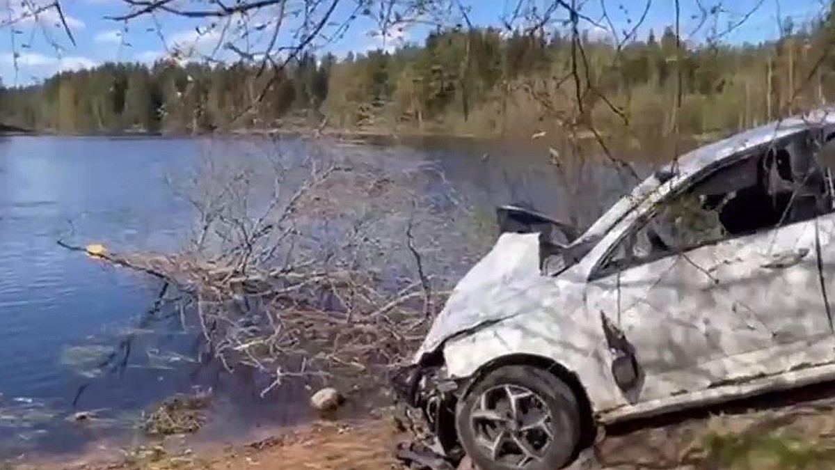 СК опубликовал видео с места, где утонили пьяные подростки на иномарке, в  Ленобласти - KP.RU